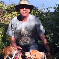 Kenneth Lingle Photo 11