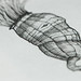 Stephen Handy Photo 14