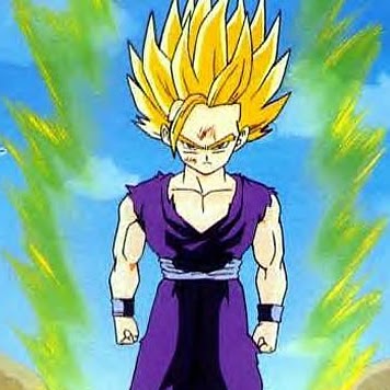 Gohan Saiyan Photo 12