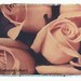 Deborah Hand Photo 8