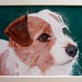 Ginger Chalk Photo 3