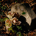 Gary Pilgrim Photo 8