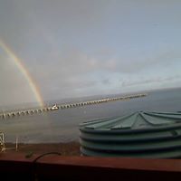 Cam Larson Photo 15