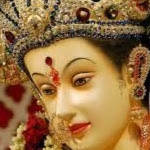 Manish Sehgal Photo 13