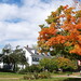 Ellen Reed Photo 12
