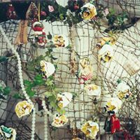 Peter Rhee Photo 16
