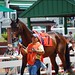 James Allard Photo 16
