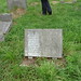 James Harding Photo 16