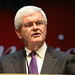 Newt Gingrich Photo 11
