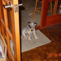 Kate Meadows Photo 24