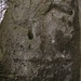 Darin Soll Photo 9