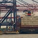 Truman Crane Photo 6