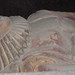 Elizabeth Fitzgerald Photo 10