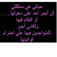 Abed Azzam Photo 4