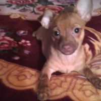 Dolores Brown Photo 28