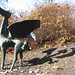 Alfred Cordova Photo 6