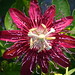 Margaret Bloom Photo 5
