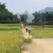 Karin Rice Photo 10