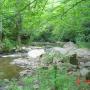Rhonda Richardson Photo 32