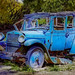 Terry Nash Photo 4
