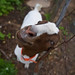 Jamie Goad Photo 4