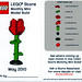 Rose May Photo 7