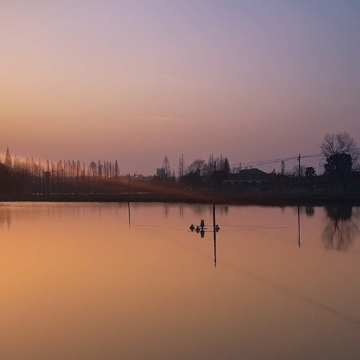 Ling Xu Photo 32