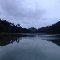 Frederick Foo Photo 10