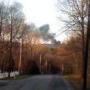 Mike Losey Photo 8