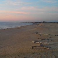Stephanie Mazzotta Photo 5
