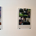 Andrew Shaul Photo 6