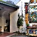 Gregory Fung Photo 7