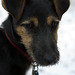 Jayne Winters Photo 6