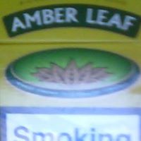 Amber Leaf Photo 23