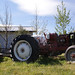 David Mower Photo 8