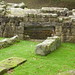 Roman Mills Photo 10