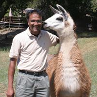 Ashok Srinivasan Photo 19
