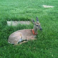Penny Schirmer Photo 4