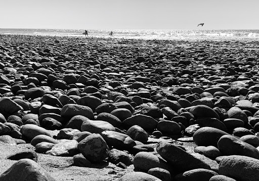 E L Photo 18