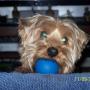 Randy Creech Photo 28
