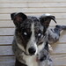 Molly Shepard Photo 5