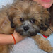 Elizabeth Streeter Photo 12