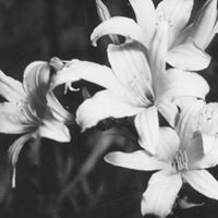 Sara Evens Photo 13
