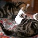 Larry Lester Photo 11
