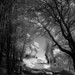 Stephen Hollingsworth Photo 14