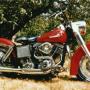 David Merkel Photo 35