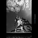 David Vuong Photo 5