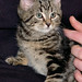 Wilma Brown Photo 8