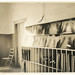 Benjamin Stimson Photo 5