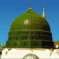 Yasir Salah Photo 8